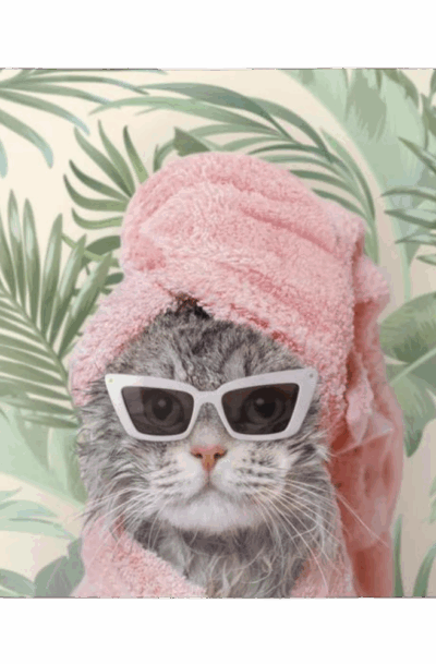 BEVERLY HILLS Pampered Cat Metal Wall Art