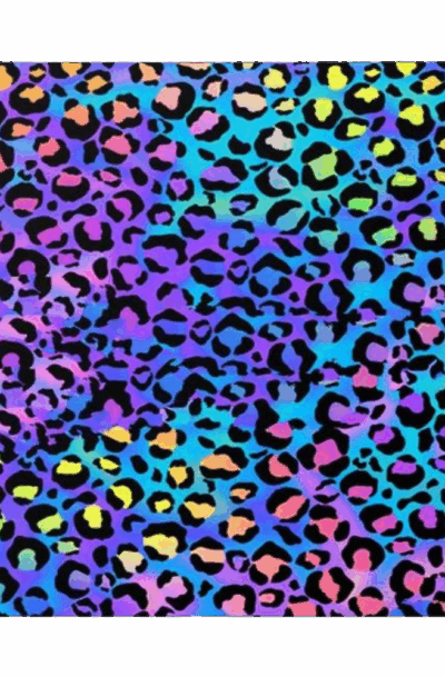 Bright Neon Holographic Rainbow Leopard Print Wall Art
